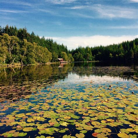 THE 10 BEST Things to Do in Beauly (2024) .